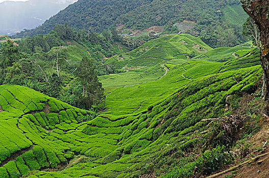 soi cau du doan xsmb win2888