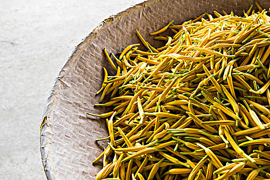 phân tích lô bạch thủ