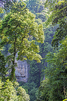 đề chuẩn hôm nay