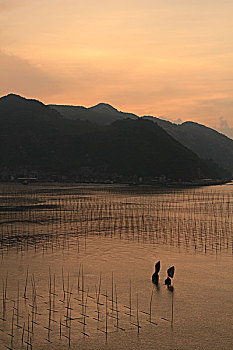 soi cau du doan xo so mb