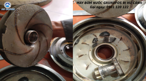 Máy bơm nước Grundfos bị hư cánh